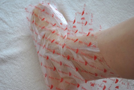 �٥ӡ��եå� ���������ѥå�SPT4