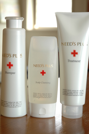 �ˡ����ץ饹�إ��������꡼������˥�������4��