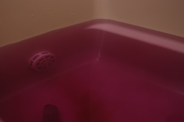 ���󥬥�ǳ�䤻�����������ὤ��