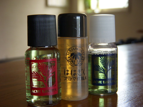 �����󥯥�󥸥󥰴�ե��������ꥨ  �ڲ��ѿ塡�ֳ��ԡ�