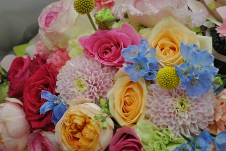 ëťꥸʥ2017ǯեȡ˥ޥMumˤ£롩