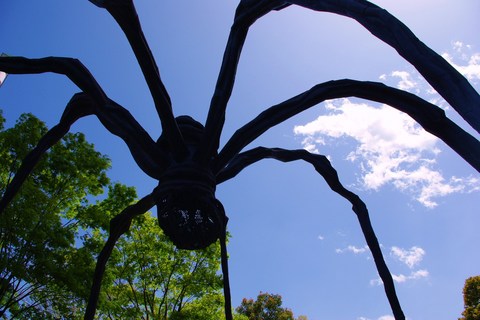 ����Υ��֥���