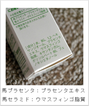 BlogPaint