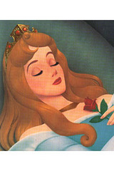 ̲��ο���������������ǯ��̲��ˤĤ�������