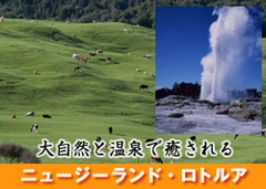 ˥塼ɡȥ륢7֤ιץ쥼