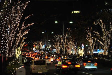 �������򶵤��Ƥ�������ե���顡�˥���D3000��ɽ��ƻ����ߤ˥�꡼Xmas!