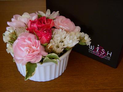 ꤿʤŤꡡWiSHʥåˡθ