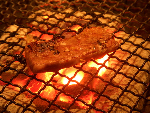 2008ǯ�����Ѥ����Ǿ��餹�롪