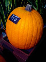 e9b2270b.jpg