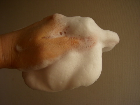 ˢ��ɱ�����Ϥ��롢����٤���ˢ��Ĥ��뤳�Ȥ��Ǥ���