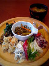 ��������Ʋ����   �إ륷�����������