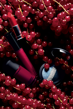 ŽÚޝŽÄŽÞ ޼ް ޾ޝŽÄŽÞ ŽÎŽØŽÃŽÞް޶Ž×Ž°ŽºŽÚޏ޼ޮŽÝ