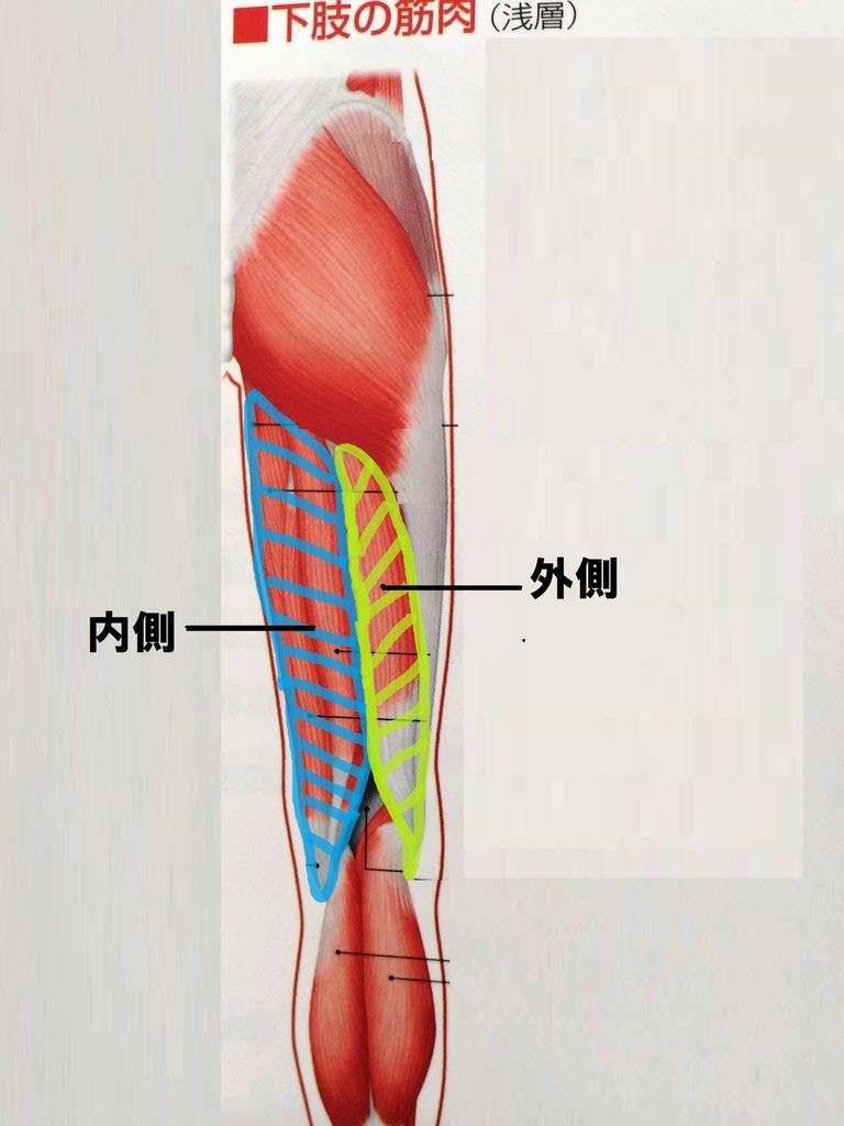 筋肉は柔らかいのに太ももが痛い ストレッチの方法 信州伊那谷トレラン日記