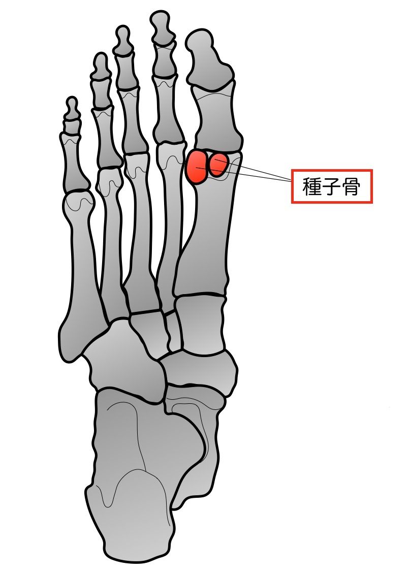 足の親指の痛み 信州伊那谷トレラン日記