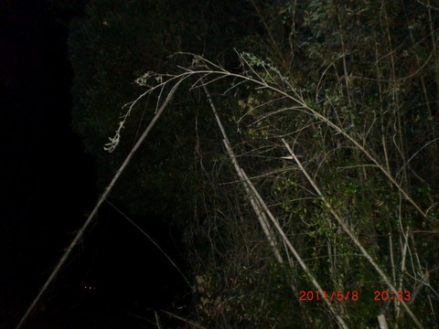 CIMG0064
