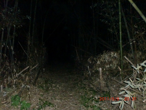CIMG0052