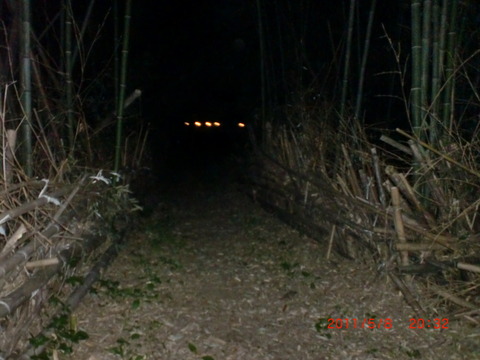CIMG0061