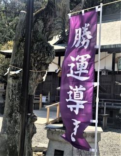 闘鶏神社２