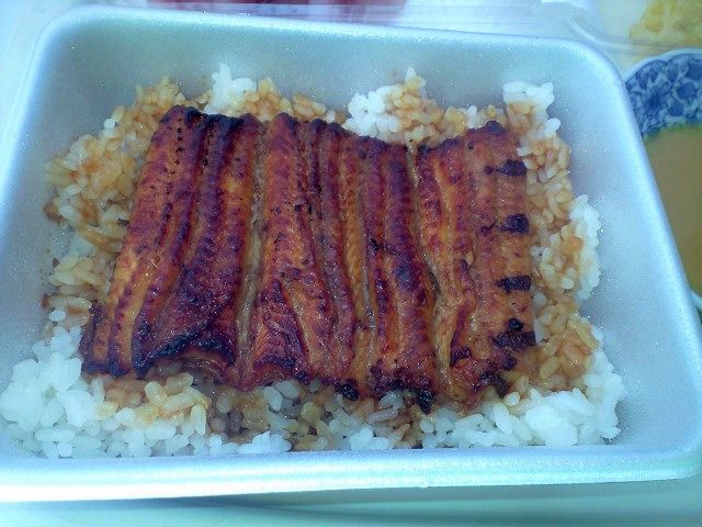 療養中の 丸一 のうな重 鯉のあらい 鯉の天ぷら 加須柳生 Umerakko S Private Diary
