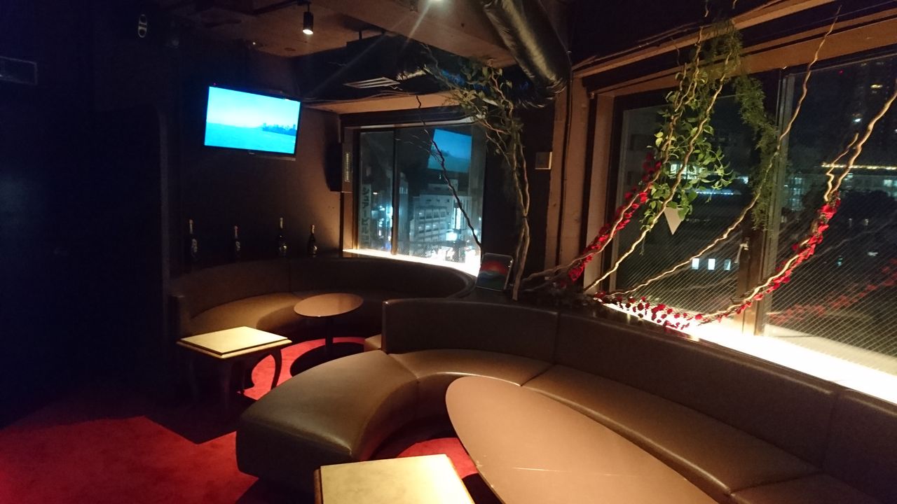 【六本木】提携飲食店のご紹介『lounge ポテト』