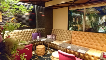 VIP£