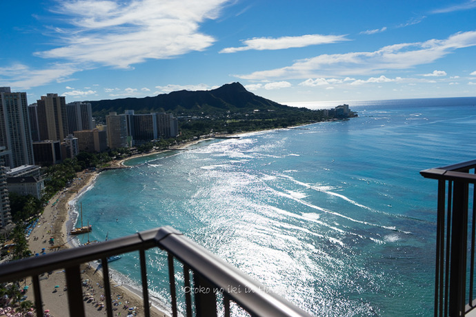 1225Hawaii212月-4