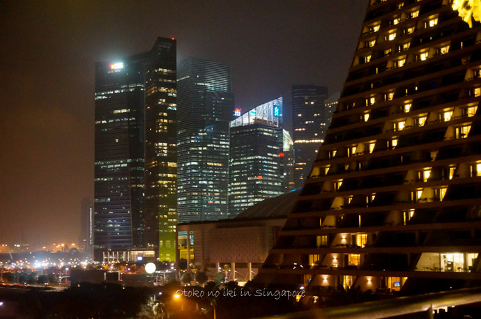 0825SG12月-36