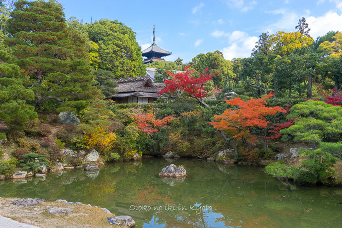 1201KYOTO11月-39