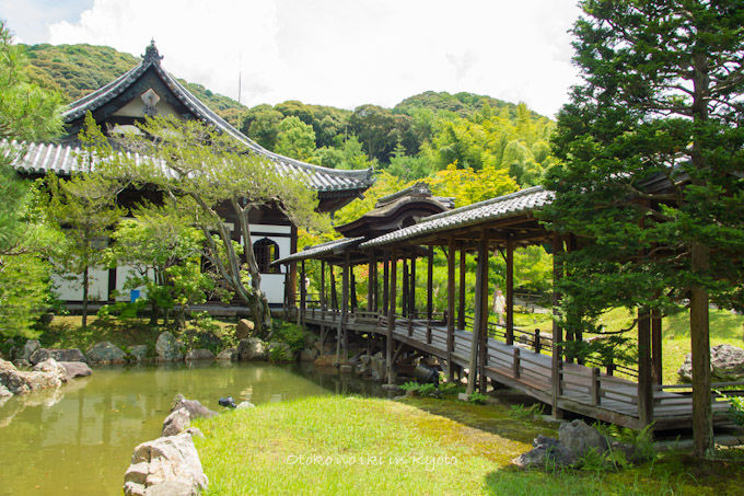 20120905高台寺-5