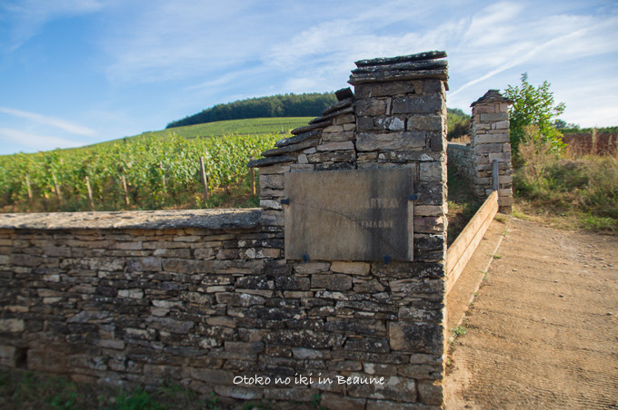 0822Corton9月-31