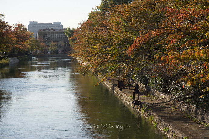 1020KYOTO10·î-72