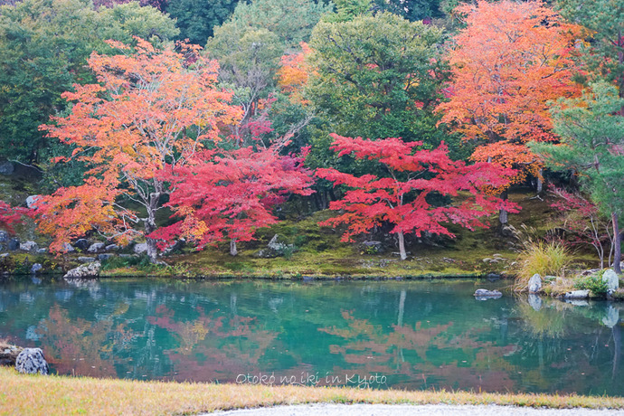 1114天龍寺11月-6