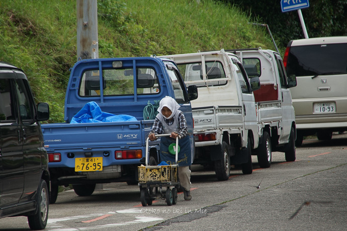 0718答志島26月-1