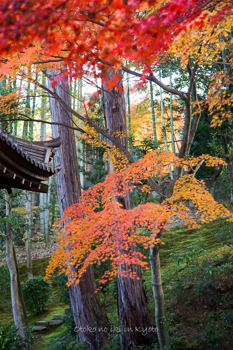 1028栄摂院11月-2