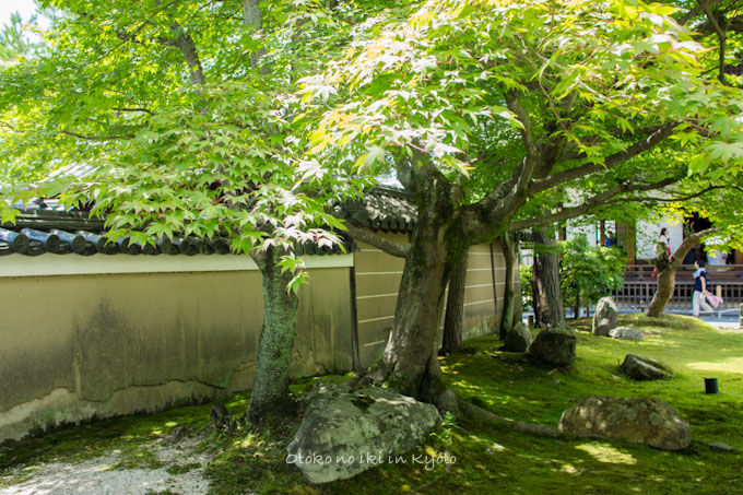 20120905高台寺-33