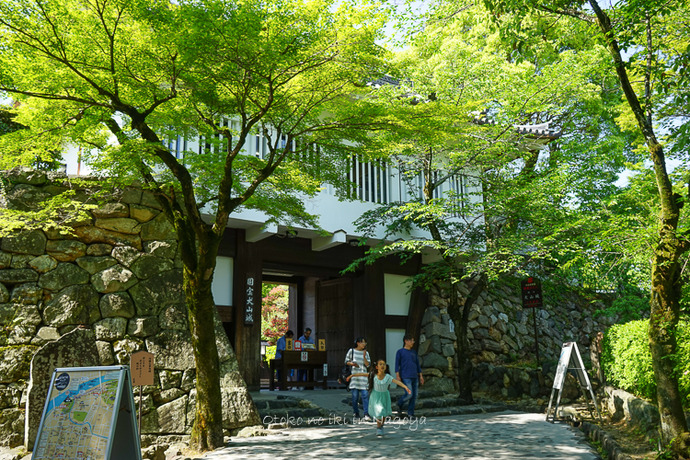 0529犬山城5月-12