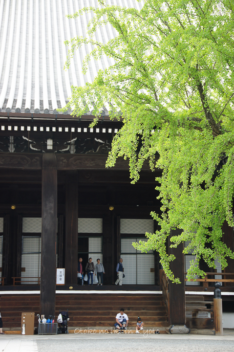0904西本願寺5月-6