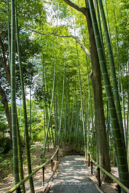 20120905高台寺-27
