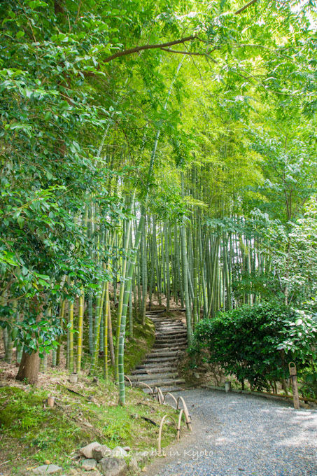 20120905高台寺-21