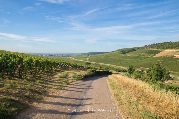 0822Corton9月-20