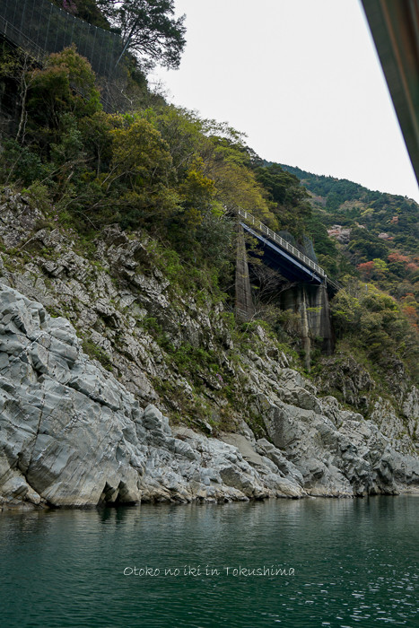 徳島2019-24