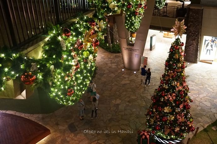 201412_Hawaii12月-75