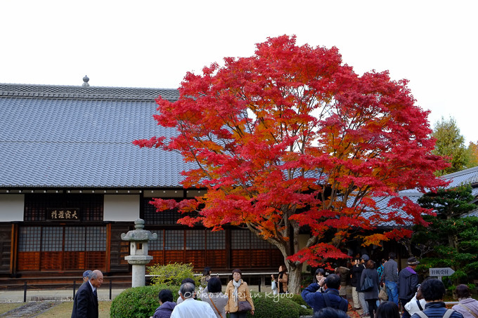 1130源光庵11月-4
