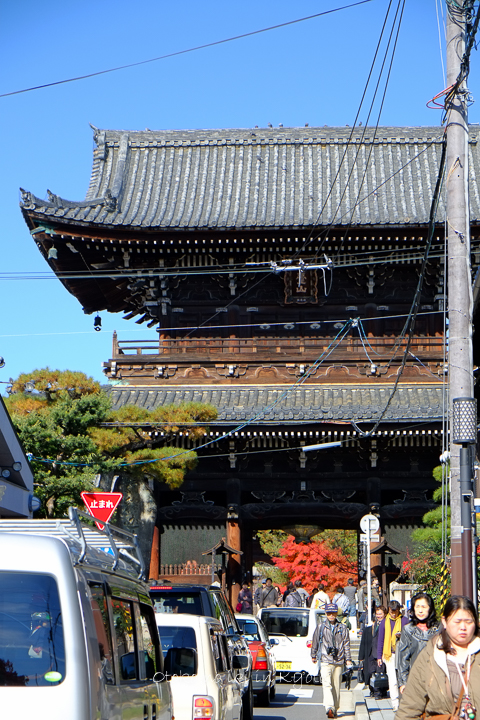 1107祇王寺11月-3