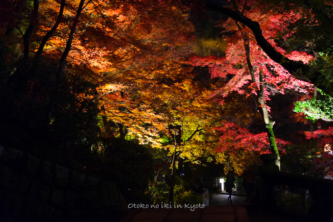 1123清水寺11月-1