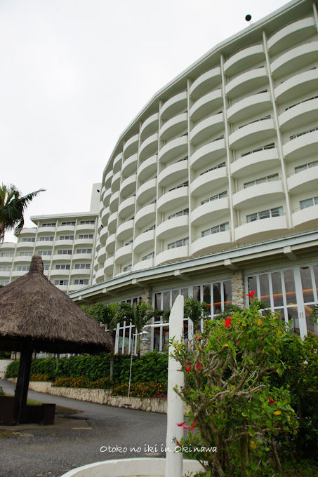 ANA HOTEL2-1