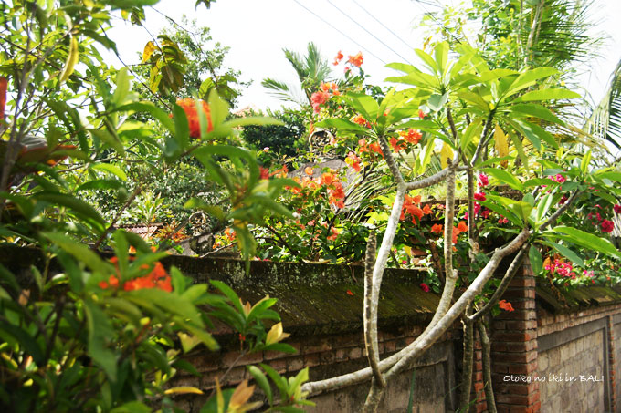 1019-13Bali²ÖÊÉ