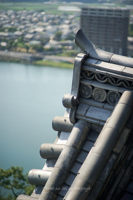 0529犬山城5月-27