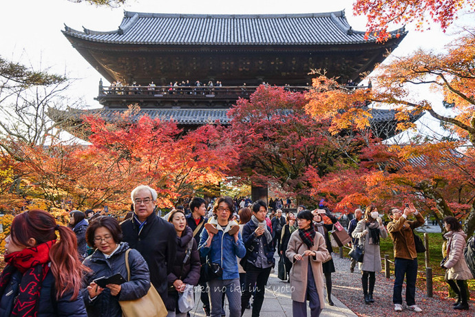 1123京都11月-21