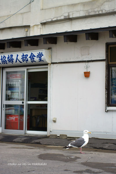 1010-10漁協食堂
